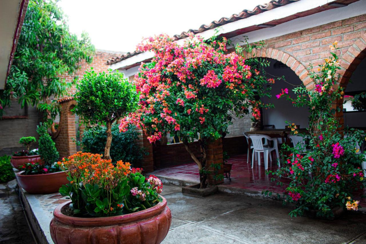 Villa Flores, Casa En El Centro De Mascota Exterior photo